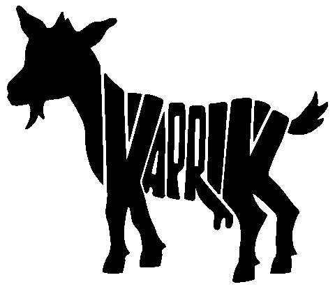 Kaprik
